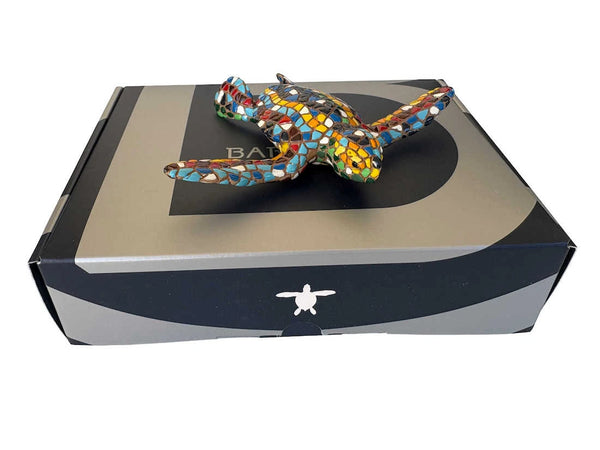 Classic Small Aquatic Turtle