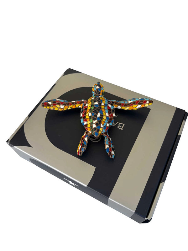 Classic Small Aquatic Turtle