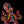 Load image into Gallery viewer, Octopus Ole Mosaic
