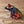 Load image into Gallery viewer, Piggy
