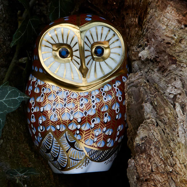 Barn Owl
