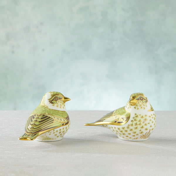 Chiff Chaff