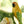 Load image into Gallery viewer, Pitcher with Parrot
