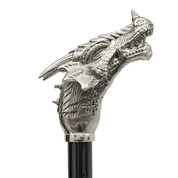 Dragon Umbrella