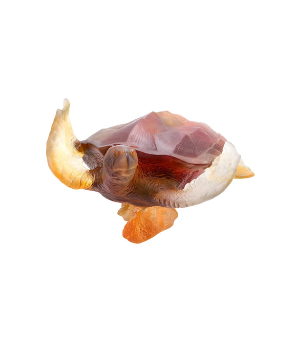 Large sea turtle Amber grey