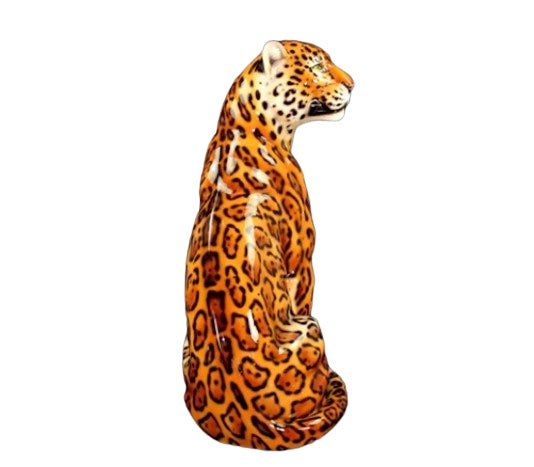Jaguar mouth closed