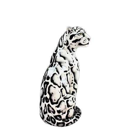 Clouded Leopard