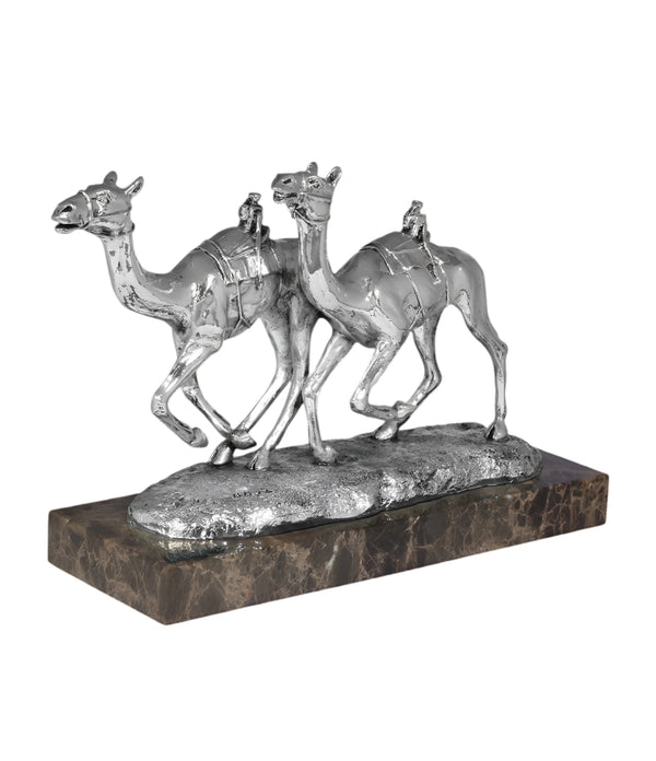 Silver camel race