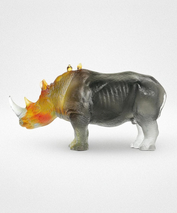 Rhinoceros Amber Grey