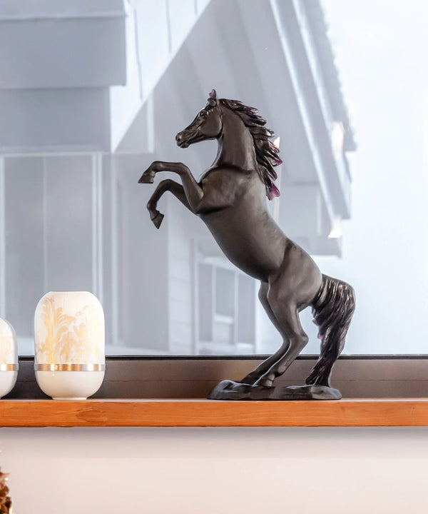 Spirited horse Black