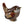 Load image into Gallery viewer, Tit Set
