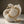 Load image into Gallery viewer, Swan
