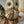 Load image into Gallery viewer, Baby Boreal Owl Set
