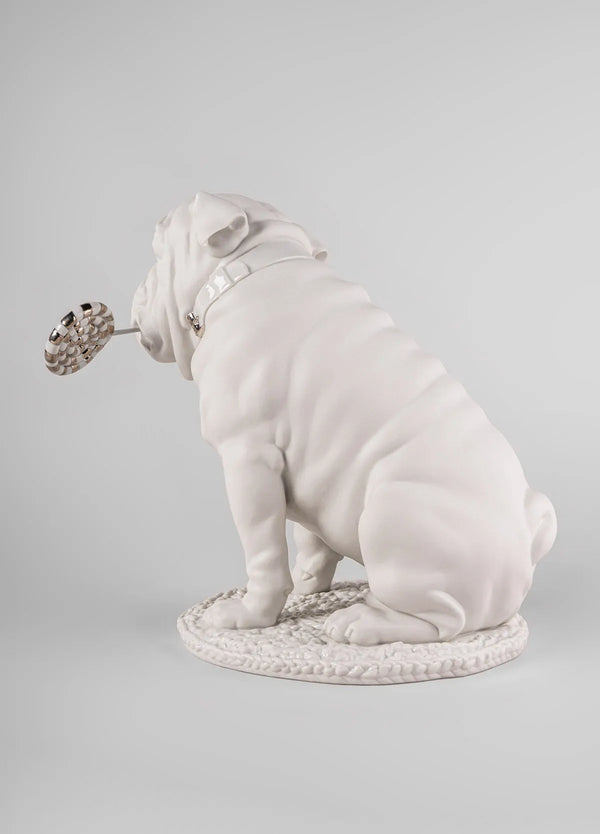 Bulldog with lollipop Sculpture. Re-Deco