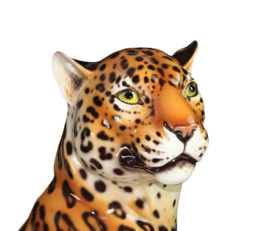 Jaguar mouth closed
