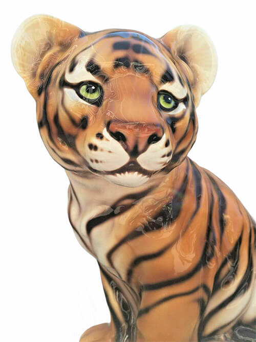 Tiger Cub