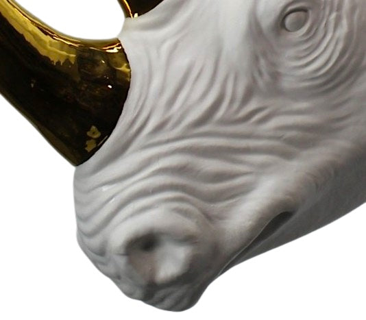 Rhino head