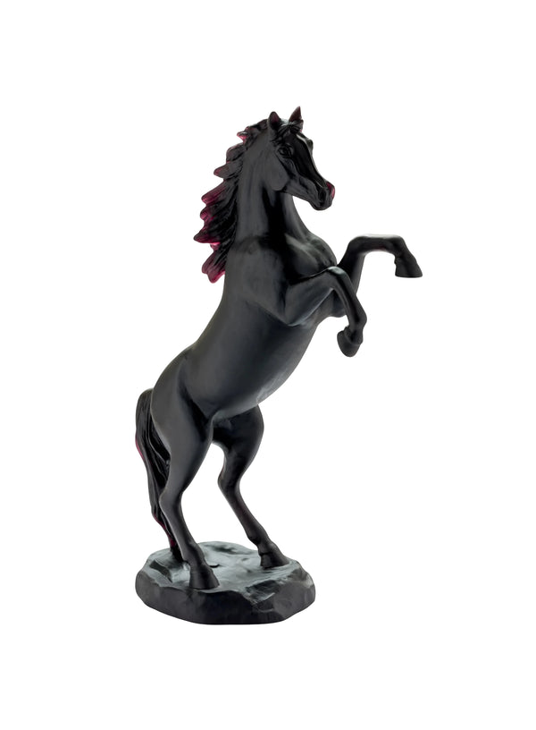 Spirited horse Black