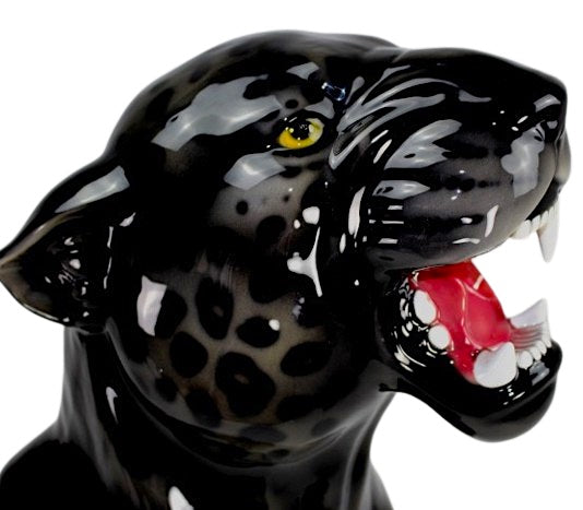 Black Jaguar