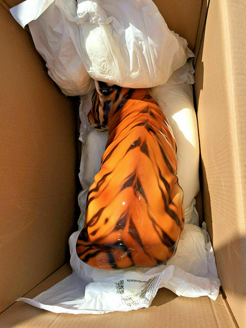 Tiger Cub