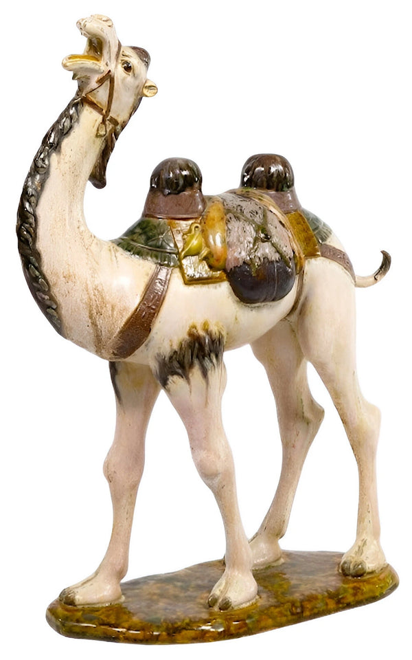 Camel