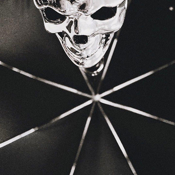 Silver Skull