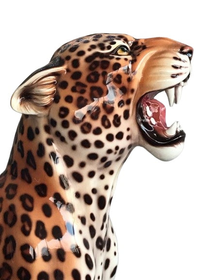 Leopard Head Wall