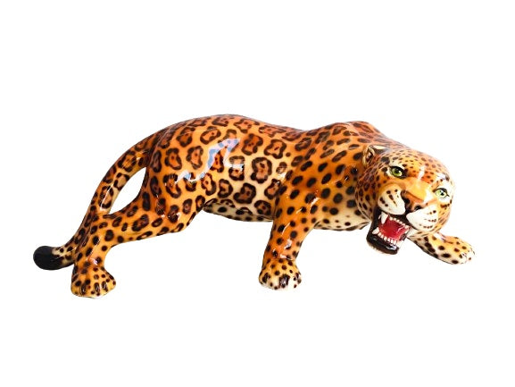 Jaguar stalking