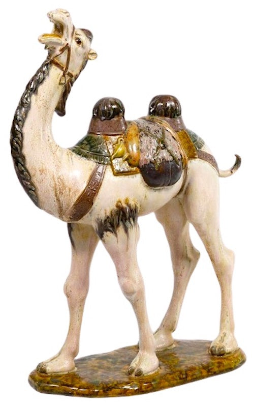 Camel