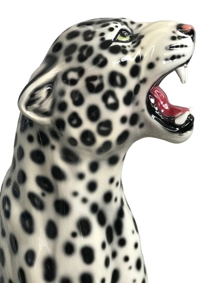 Leopard Snow Dx