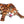 Load image into Gallery viewer, Jaguar stalking
