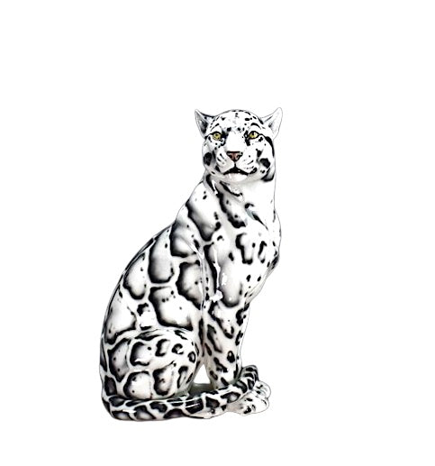 Clouded Leopard