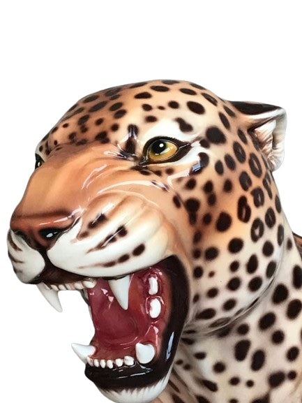 Leopard Head Wall