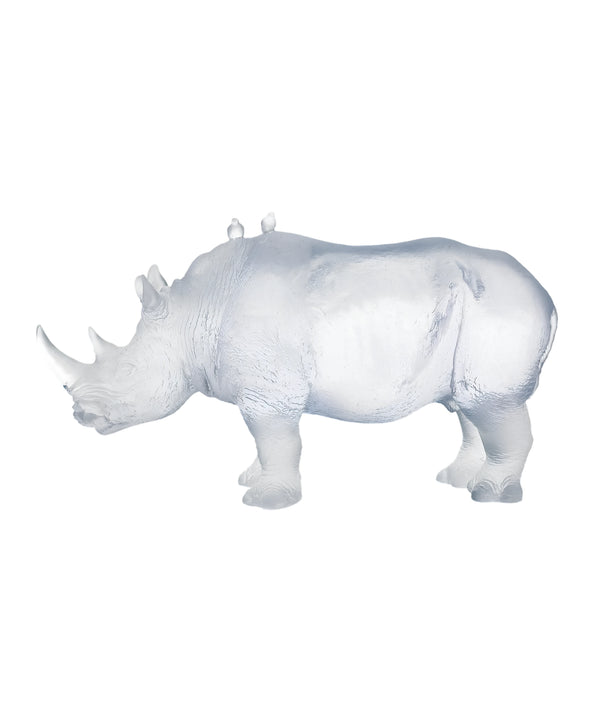 Rhinoceros White