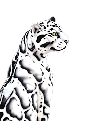 Clouded Leopard