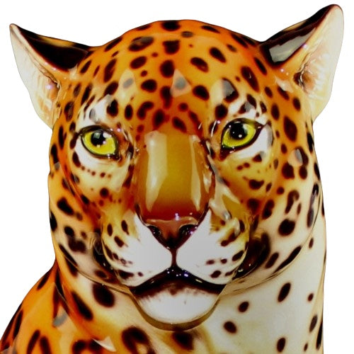 Jaguar mouth closed