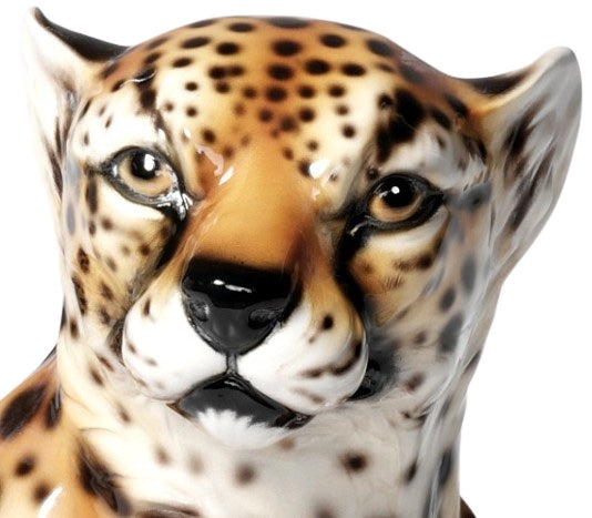 Cheetah Lying