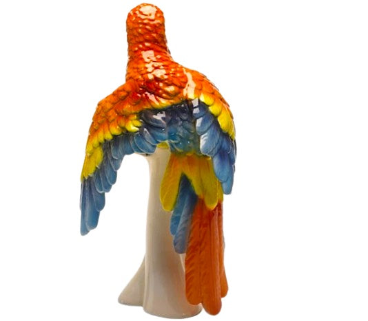 Macaw Parrot