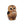 Load image into Gallery viewer, Baby African Cape Owl
