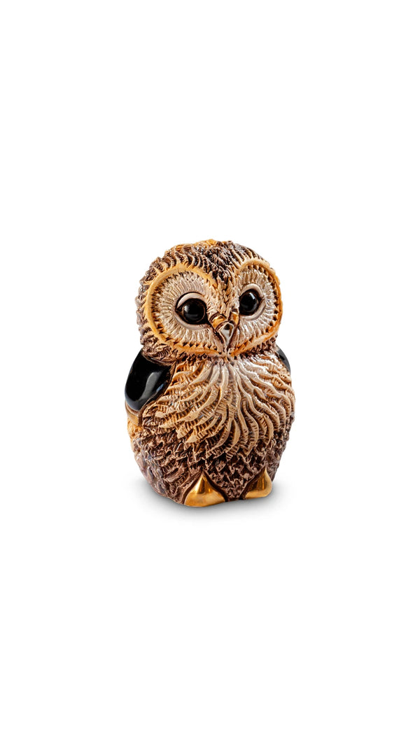 Baby African Cape Owl