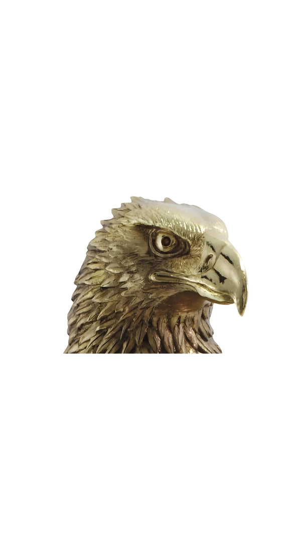 Eagle Bust