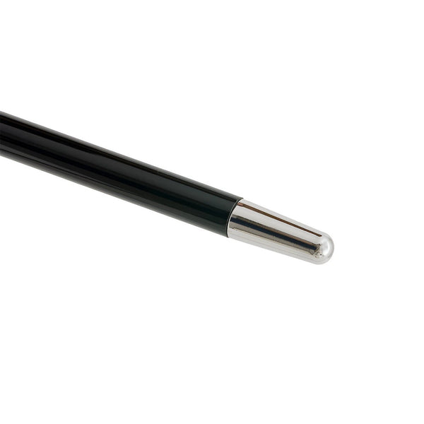 Silver Skull Cane