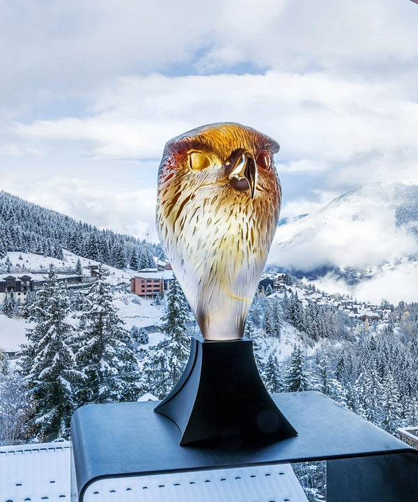 Falcon Head