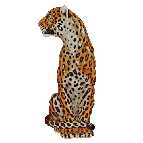 Jaguar mouth closed