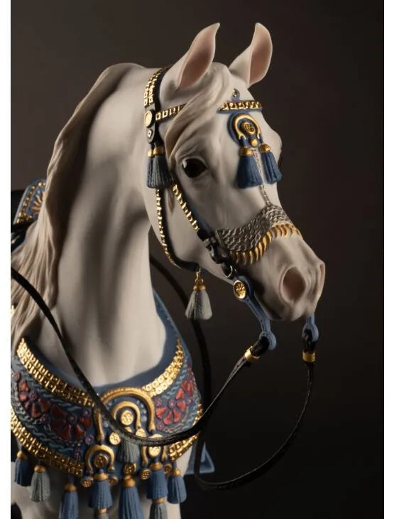 Arabian Pure Breed