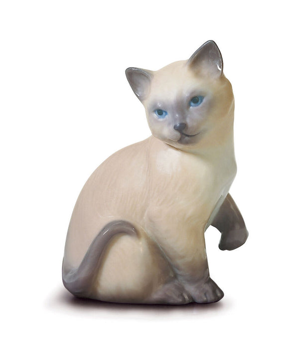 Lucky Cat