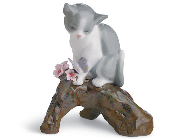 Blossoms For The Kitten