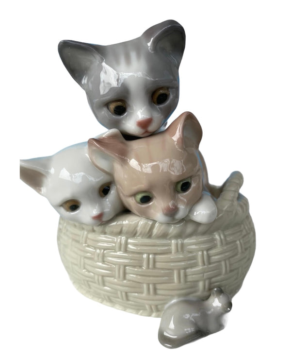 Curious Kittens