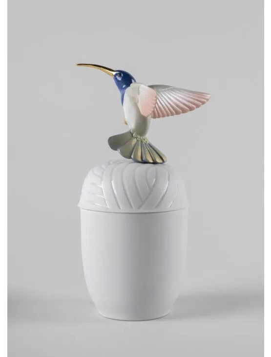Hummingbird box