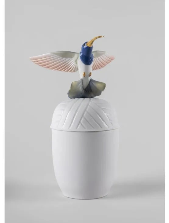 Hummingbird box
